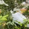 IMG_9051 کتونی پورش | مردانه